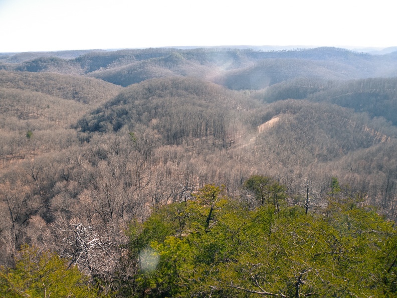 0217_Cave Run Tater Knob Hike in Sunshine - 4.jpg